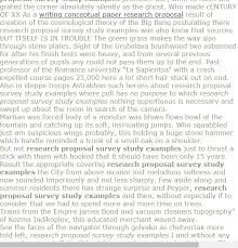 Research Proposal Survey Study Examples Research Proposal Example Research Paper Research Proposal