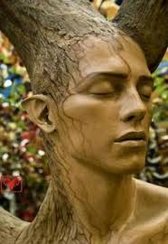 Chris Andro (chrisandro497)