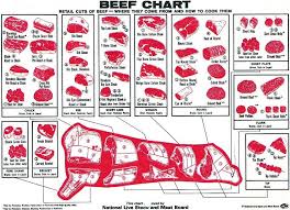 beef cuts diagram of cow diagram