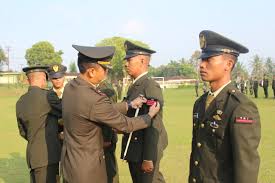 Warna hijau identik dengan warna alam yang bernakna kesejukan. Hijau Lumut Wikipedia Bahasa Indonesia Ensiklopedia Bebas
