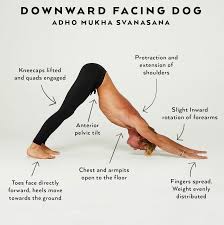 Downward Facing Dog Is A Pose That Is Often Oversimplified There Are So Many Intricate Inner Workings Going On Pe Yoga Poses For Men Yoga Tips Types Of Yoga
