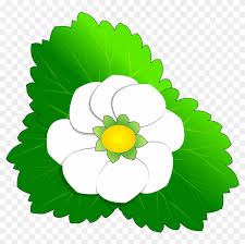 Big Image Sampaguita Flower Clip Art Hd Png Download 2400x2273 469043 Pngfind Free dxf files & vectors all free download. sampaguita flower clip art hd png