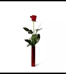 All of you, drain those flowers! The Ftd Deeply Devoted Roses Bowmanville On Florist