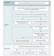 Stage four diabetic retinopathy is the most advanced stage of diabetic retinopathy, during which new blood vessels begin to grow on the retina. Who Implementation Of A Diabetic Retinopathy Referral Network Peru