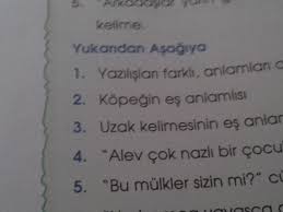 Kopegin Es Anlamli Si Eodev Com