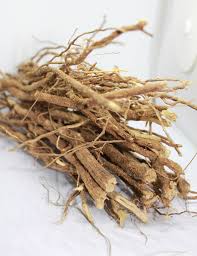 Image result for Keetia zanzibarica