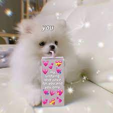 Happiness Wholesome And Reaction Image 6729777 On Favim Com