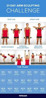 I M Doing This 21 Day Arm Challenge And Already Notice A Difference In My Strength And Definition Fitness Body Exercise Health Fitness