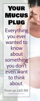 Pin On Pregnancy