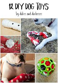 It's also known as a puppy enrichment box. 12 Diy Dog Toys Dukes And Duchesses