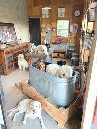 Barn Tour Dog Room Thermaland Oaks Dog Rooms Dog Grooming Salon Decor Dog Grooming Salons