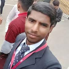 An organic solar cell (osc) or plastic solar cell is a type of photovoltaic that uses organic electronics, a branch of electronics that deals with conductive organic polymers or small organic molecules. Plant Cell Organelles That Can Absorb Solar Energy Brainly In
