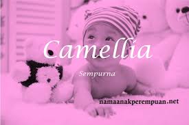 Anda bisa menggunakan nama yang berasal dari bahasa jawa, inggris, arab atau lain sebagainya. Nama Bayi Perempuan Rangkaian Dan Arti Nama Camellia Namaanakperempuan Net