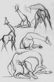 10 Inconceivable Drawing Animals In The Zoo Ideas Animal Sketches Sketches Animal Drawings