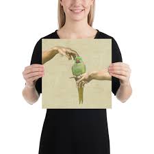 For A Foreigner Who Has An Alexandrine Parrot As A Pet Which Is Legal To  Keep In His Country, Can He Keep Him In India Since Alexandrine Parrots Are  Illegal In India? -
