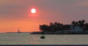 Bird Photos Birding Sites Bird Information Sunset From Mallory Sqare Key West Florida 3 26 Key West Florida Sunset Nature Photography