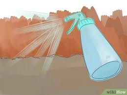 Tapi tahukah kamu bahwa cuka sangat ampuh untuk membersihkan seluruh bagian rumah? Cara Memanfaatkan Cuka Untuk Berkebun 11 Langkah Dengan Gambar