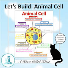 An animal cell is kept. Let S Build An Animal Cell By A House Called Home Tpt
