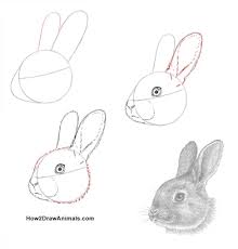 How To Draw A Rabbit Bunny Drawing Rabbit Drawing Rabbit Art