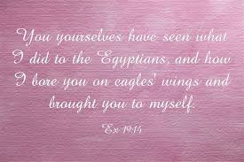 What Does The Eagle Represent In The Bible A Christian Study Christian Studies Eagles Bible
