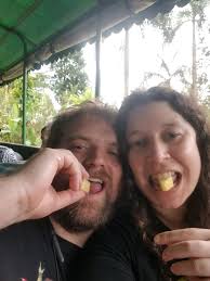 Tricia Arnold and Daniel Ferrari's Wedding Website