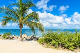 Beaches, mountains, flowers, oceans, trees, seasons & more 10 Best Beaches In Florida Which Florida Beach Is Right For You Go Guides