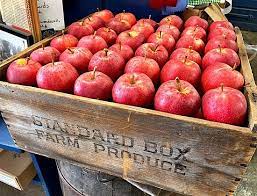 Their standard cider is fresh, crisp, and delicious, but their vintage cider is amazing. Clarkdale Fruit Farms Picture Of Clarkdale Fruit Farms Deerfield Tripadvisor