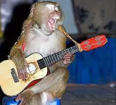 Base botton is clearly marked japan. Arranging Guitar For Your Music 7 Tips Tinderwet Studios Monkeys Funny Funny Guitar Playing Guitar