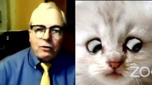 Presidio county attorney rod ponton appeared before texas' 394th judicial district court as a fluffy white kitten with big round eyes on tuesday. William Amos Canadian Politician Seen Naked In Work Zoom Call Bbc News