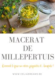 Macerat Huileux De Millepertuis Recette Proprietes Et Bienfaits Recette Millepertuis Macerat Huileux Soins De La Peau Naturels