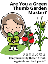 Beans need to be cropped at least once every other day. Garden Plants Quiz Questions