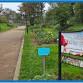 Marske Walk event image