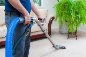 Maybe you would like to learn more about one of these? Home Action Carpet Cleaning Restoration Llc