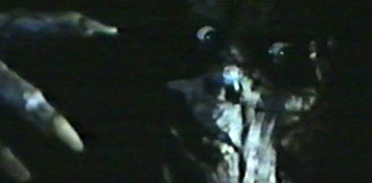 Revenge Of The Living Dead Girls (1987) – Bleeding Skull