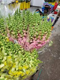 New zealand's largest flower wholesaler. Cd Wholesale Flowers Home Facebook