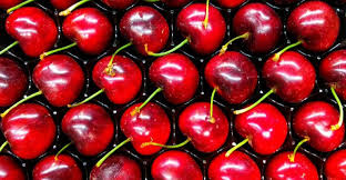 Throat, and shortness of breath. Msc Introduces New Cherry Express Service Linking Chile To China Seatrade Maritime