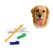 Pet Dis Fircalari Seti Kopek Yavru Kedi Dis Fircasi 1 Adet Lezzet Dis Macunu 1 Adet Iki Kafa Dis Fircasi 2 Adet Firca Kafasi Buy Cift Basli Dis Fircasi Dis