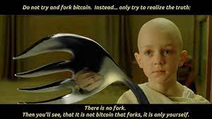 10 bitcoin memes for a bear market. Phneep Bitcoin There Is No Fork