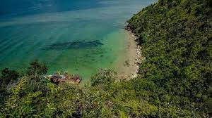 We did not find results for: Lompat Tebing Cara Terbaru Nikmati Keindahan Mandeh Di Pesisir Selatan Sumbar Lifestyle Liputan6 Com