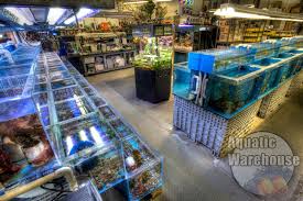 Sea salt mix/saltwater & hydrometer sea salts are what make an aquarium a saltwater or marine aquarium. Aquatic Marine Systems Professional Aquarium Maintenance And Service
