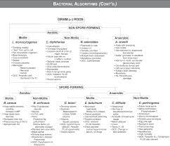 Usmle Step 1 Qbank Medical School Stuff Medical Laboratory Scientist Pharmacology Nursing