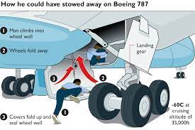 Stowaway (n.) a person who hides aboard a ship or plane in the hope of getting free passage Sunbather S Trauma After Stowaway S Body Fell In Garden News The Times