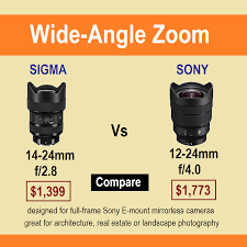 Sigma 14 24 Vs Sony 12 24 Mirrorless Camera Art Lens Wide Angle
