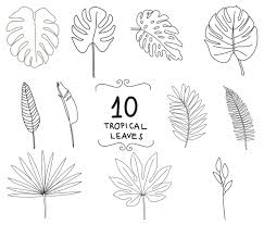 Tropical Leaves Svg And Png Doodles Jungle Leaf Svg Leaves Etsy In 2020 Leaves Doodle Leaf Drawing Flower Doodles