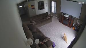 Jojo earthquake meme compilation subscribe,like,share and comment. 6 5 Magnitude Earthquake Rattles Idaho And 6 Surrounding States More Aftershocks Expected King5 Com