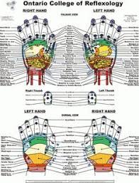 free printable reflexology charts body healing zones orjun