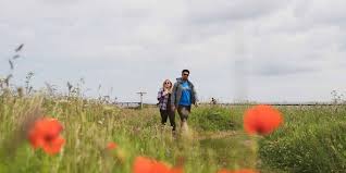 Their website is super easy to use and they are very affordable in comparison to other online florists. Norfolk Coast Path Eine Kuste Der Gegensatze National Trails