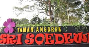 Image result for taman anggrek sri soedewi