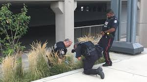 2021.08.29 21:58 moula1stburner shooting in yorkdale. Yorkdale Mall Evacuated After Shots Fired Police Cp24 Com