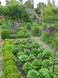 Gorgeous Summer Greens In The Potager Garden At Barnsley House Vegetable Garden Design French Garden Garden